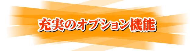 充実のオプション機能